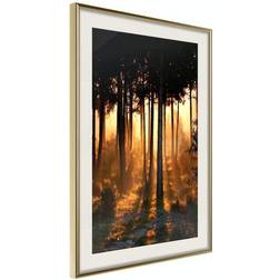 Arkiio Affisch Honey Forest [Poster] 30x45 Poster